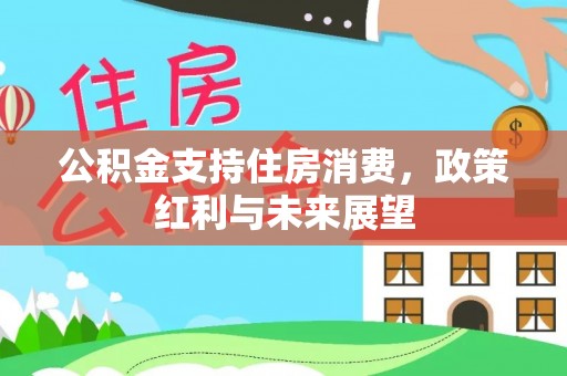 袁州公积金支持住房消费，政策红利与未来展望